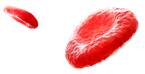 Controle De Qualidade Na Imuno Hematologia Bio Rad Brasil